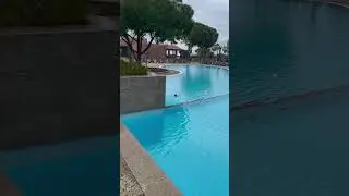 Фильм «Я-Легенда» 😎 1-го января во всех уголках мира 🤣 