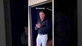 Этот мужик похож на Ченнинга Татума больше, чем сам Ченнинг Татум😳