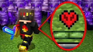 I Took Over an SMP on 1 Heart