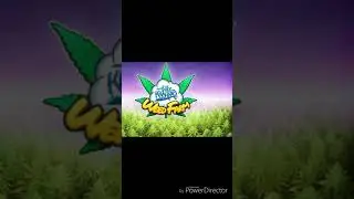 Weed farm | the start