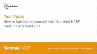 Sentinel Support - Everything you need to know about Sentinel HASP Runtime API functions