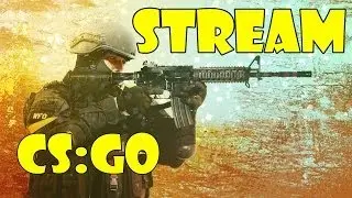 STREAM по CS:GO