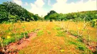 Flycam Nano DSLR Test 2013