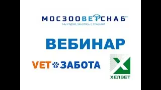 «Профилактика и лечение заболеваний препаратами Хелвет в зимний период»
