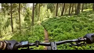Love this trail