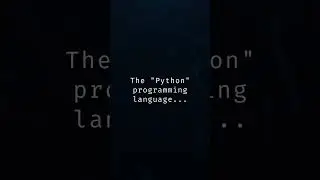 Python Unleashed: A Quick Guide for Beginners 