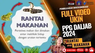 Video Praktik Pembelajaran UKIN PPG Guru Tertentu 2024 Pembelajaran Berdiferensiasi (Full 70 Menit)