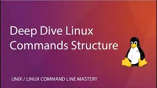Deep Dive Linux Commands Structure and where commands are stored in Linux?