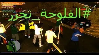 احتفالية عراقية بل الاسلحه الثقيلة بمناسبة تحرير الفلوجه ( سيرفر اسود العراق)