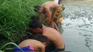 fishing, amazing cashing catfish/Dakao/alfimls