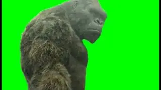 King Kong green screen 002