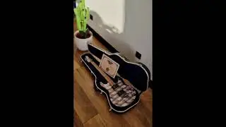 PeaVey Custom Shop Guitar