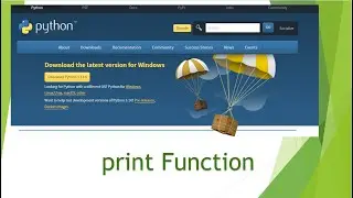 2 print function