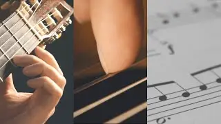 Classical Guitar: Basic Techniques You Must Know!