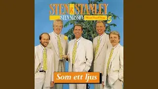 Minnen