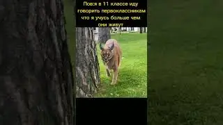 Шлёпа мем