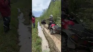 Засада в лесу CF Moto встряли #квадроциклы #cfmoto #квадроциклы #грязь #brp #катка