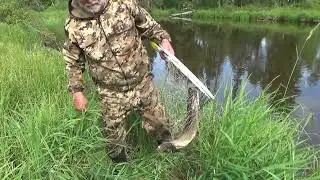 Щучий день. Реванш.