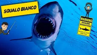 Beffati dallo SQUALO BIANCO! - Denti Artigli Veleni | Ep.3