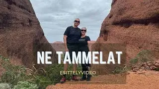 Ne Tammelat