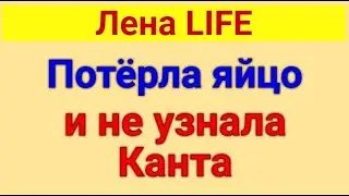 Лена LIFE. Обзор влогов. Гоголь - Кант. 17 06 2024 Лена