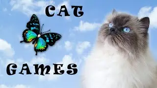 Butterfly on Screen! Entertainment game for cats