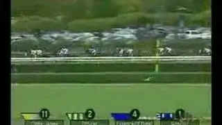 Johannesburg- 2001 Breeders Cup Juvenile