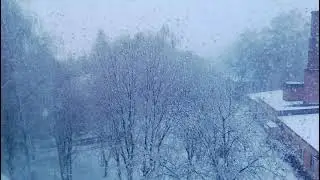 26 апреля .весна. идет снег))))