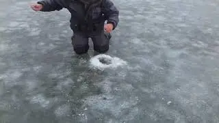 Поклевка щуки - сход.