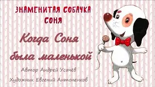 Когда Соня была маленькой Кто сделал лужу? Андрей Усачёв  Сказка в картинках Знаменитая собачка Соня