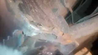 Джилли живи серия 1
