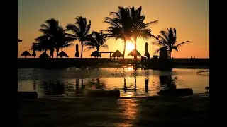 Resort photographer -Zanzibar - Cancun - Punta Cana -Tanzannia - Turquie