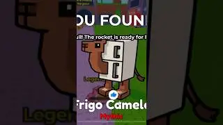 How to find all 4 brainrots in the meowl base in roblox find the brainrot 