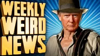 Did Trump Steal Ancient Artifacts From The Holy Land? - Weekly Weird News