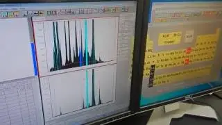 Hitachi XRF Auto Height and Pure Gold Test Example