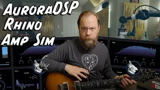THIS IS ONLY $40?! Aurora Rhino Amp Sim!