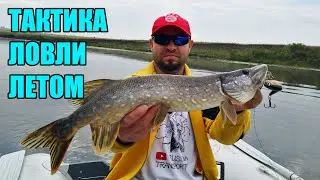 Где искать щуку летом? Цвет приманки на щуку летом.