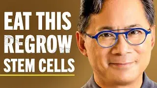 Top Food Hacks To Regenerate Stem Cells, Boost Brain Health & Improve Circulation | Dr. William Li