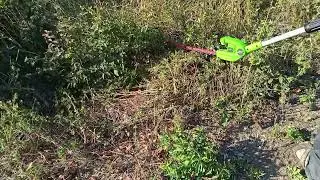 Обзор аккумуляторного кустореза Greenworks G24PH51 — кусты подровнять, и траву покосить