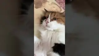 #рекомендации
