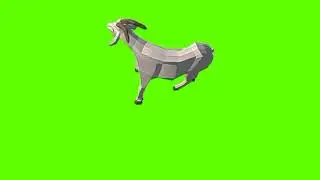 Green screen Goat video | White Goat death green screen
