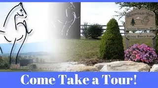 Mountain View Equine Hospital- Our Story