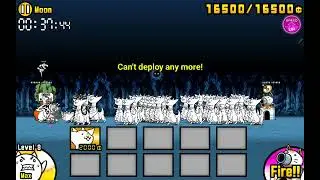 Can the dragon solo chapter 3 bun bun?