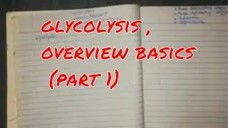 glycolysis , #overview #basics (part 1)