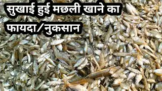 क्या सूखी मछली खाना सुरक्षित है ? || सुखाई हुई मछली खाने का फायदा/नुकसान || sundar bihar