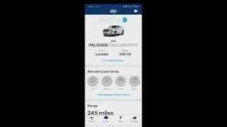 New App Hyundai Palisade BlueLink MyHyundai Find My Car Vehicle Locator area with Mikey Mike