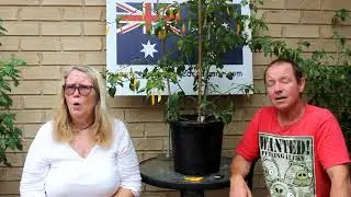 Madre Vieja   Chilli Test
