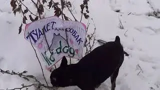 Очередь в туалет