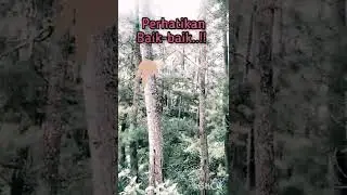 DETIK DETIK TEREKAM KAMERA 