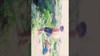 Vai Filhão MEME #shorts #filhao #mano #vaifilhao #memebr  #humor #dublando #funny #dub #filho